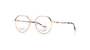 Ana Hickmann AH 1456 P04 oprawy okularowe damskie