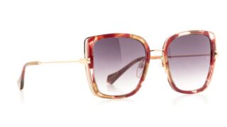 Ana Hickmann AH3246 G22